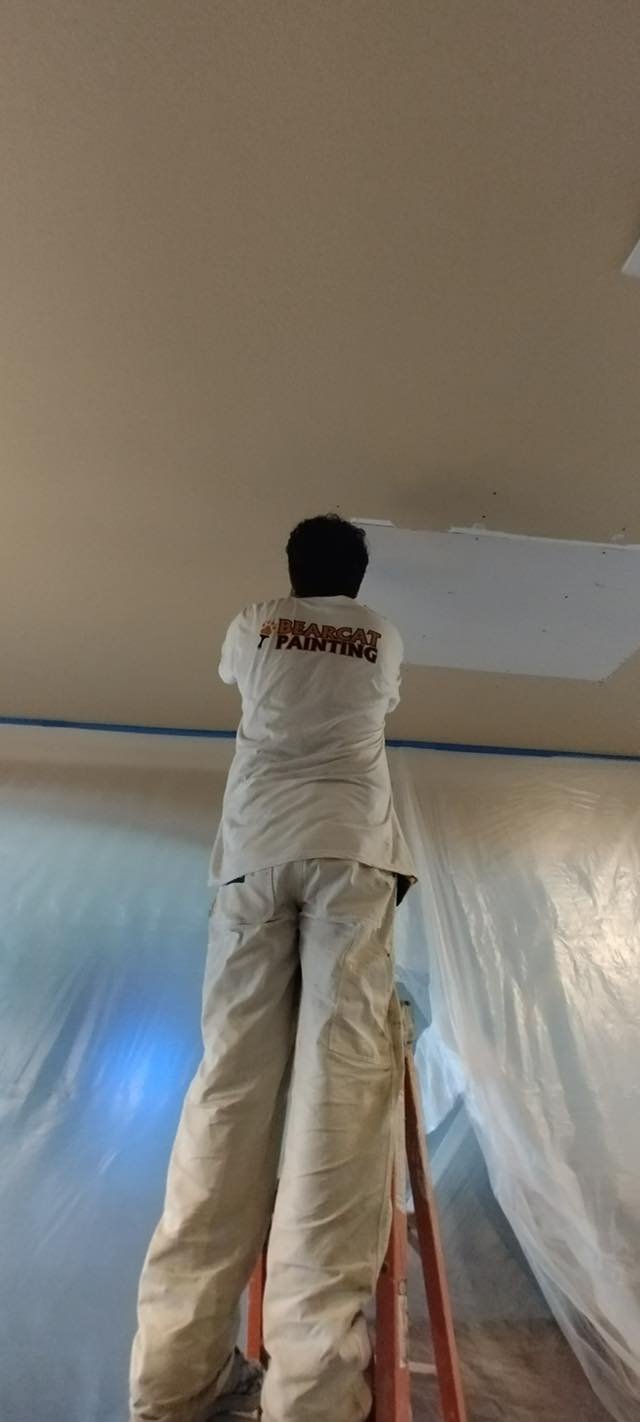 Drywall Patching | Bearcat Painting