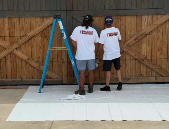Garage Door Staining Project